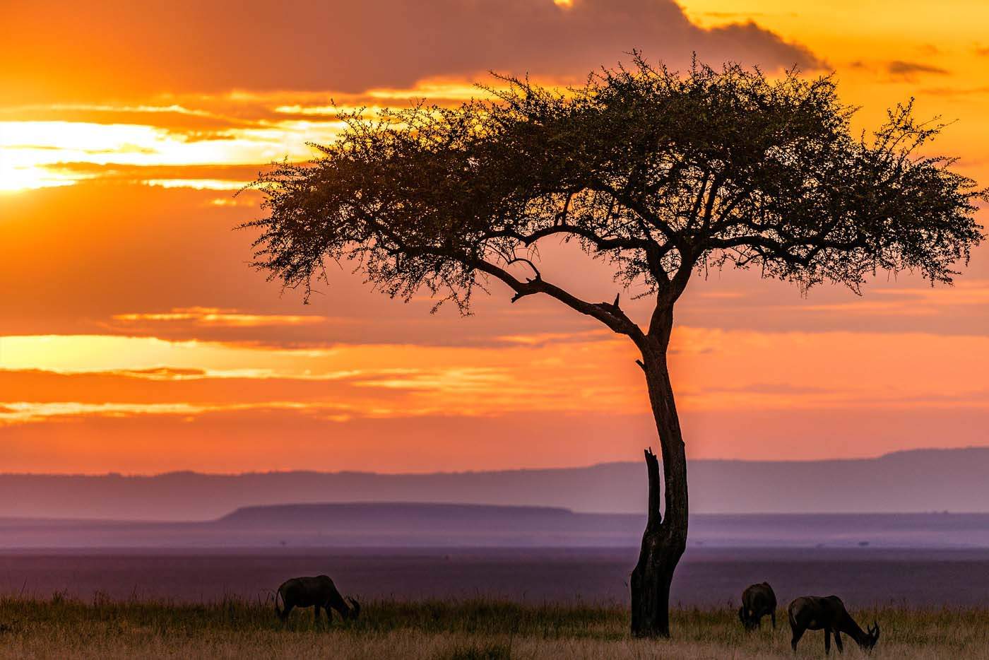 10+ Things You Need To Know Before You Travel To Kenya 2023