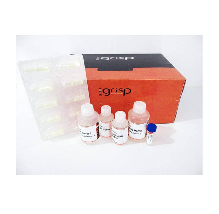 GRS Viral DNA/RNA Purification Kit GRiSP