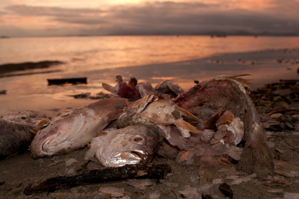 Dramatic charts reveal climate change's effects on oceans