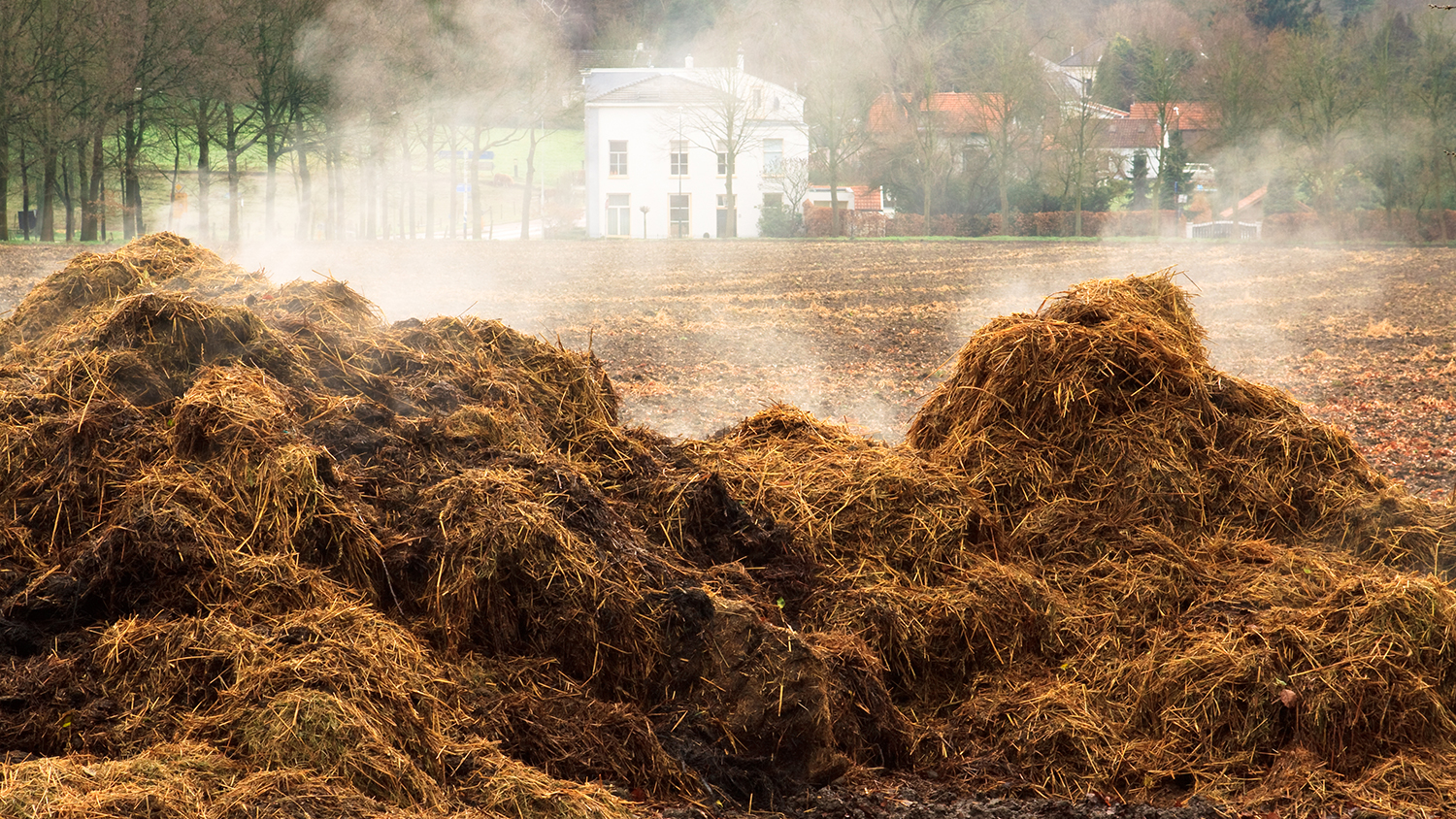 A huge amount of air pollution comes from farming, not