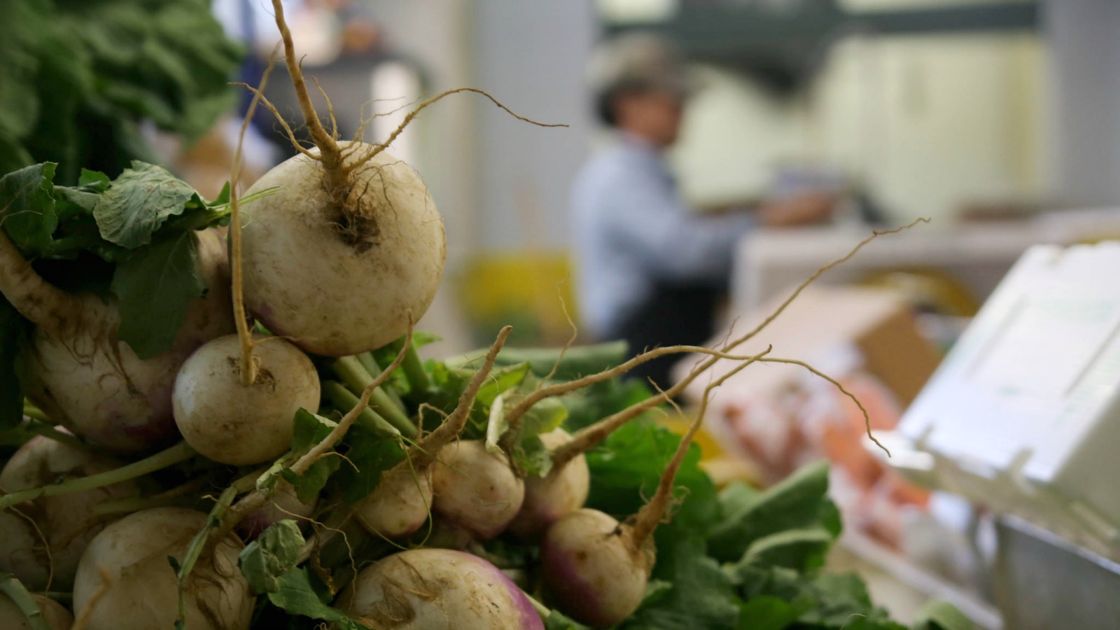 What the humble turnip can teach us about economic growth Grist