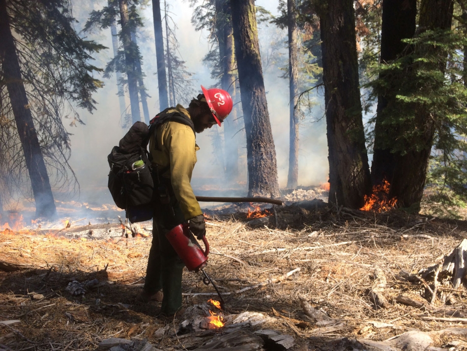 Climate changefueled wildfires pollute the air and make people sick