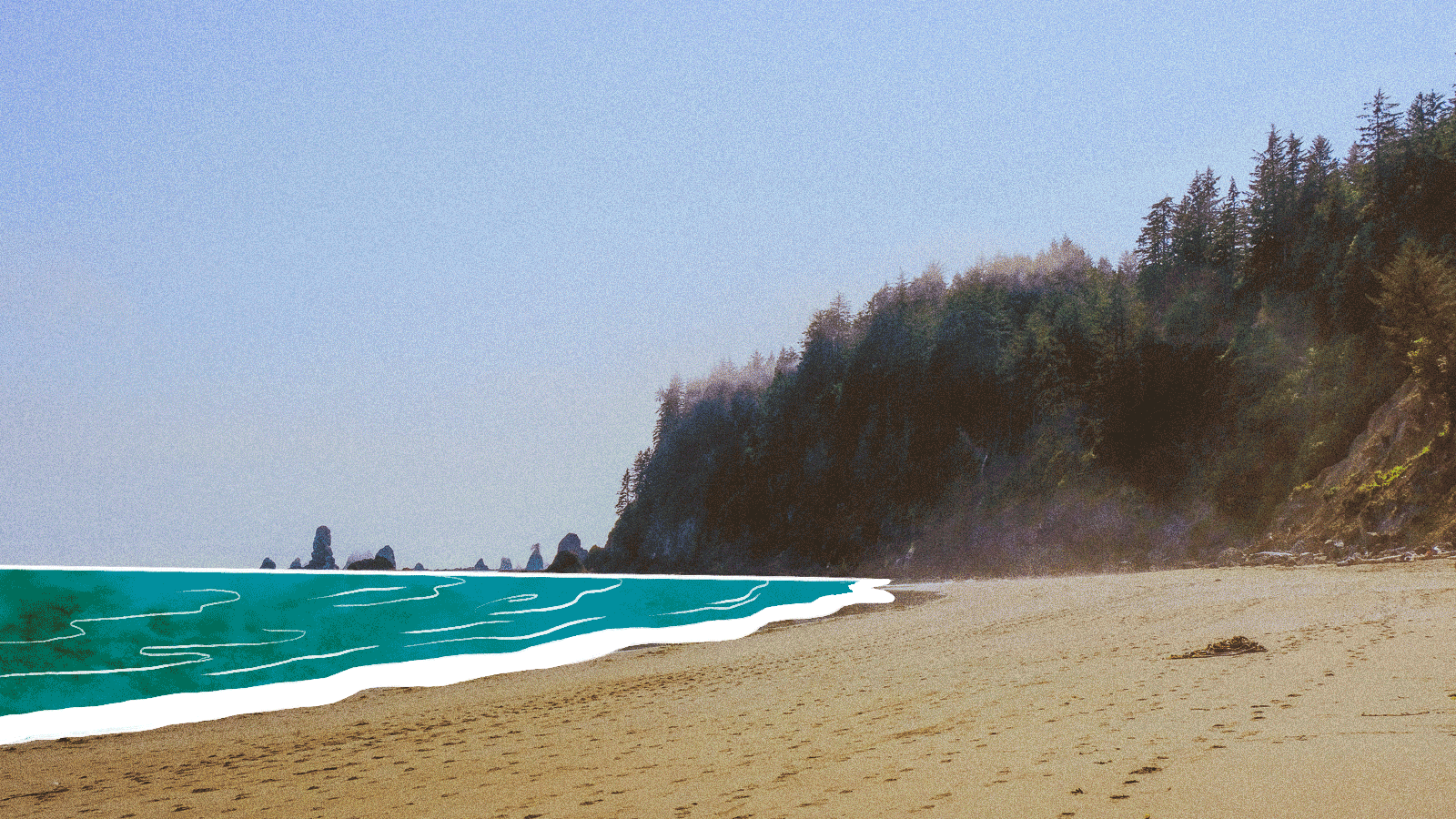 Plastic has changed our environment. How has it changed us? Grist