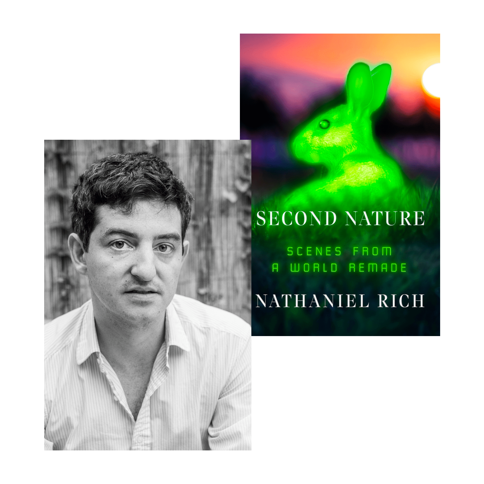 Why authors are saying the 'natural world' no longer exists Grist