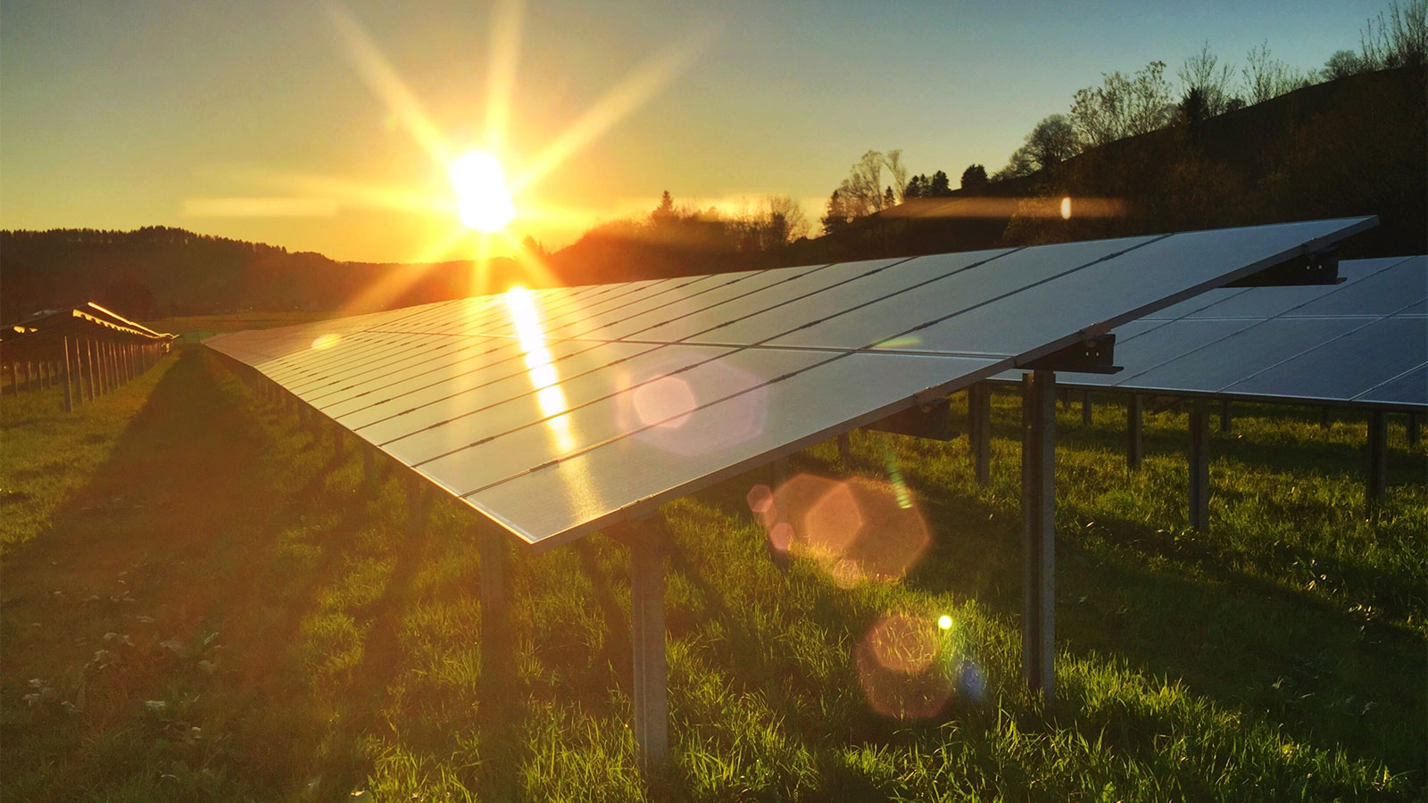 This technology collaborative promises a brighter future