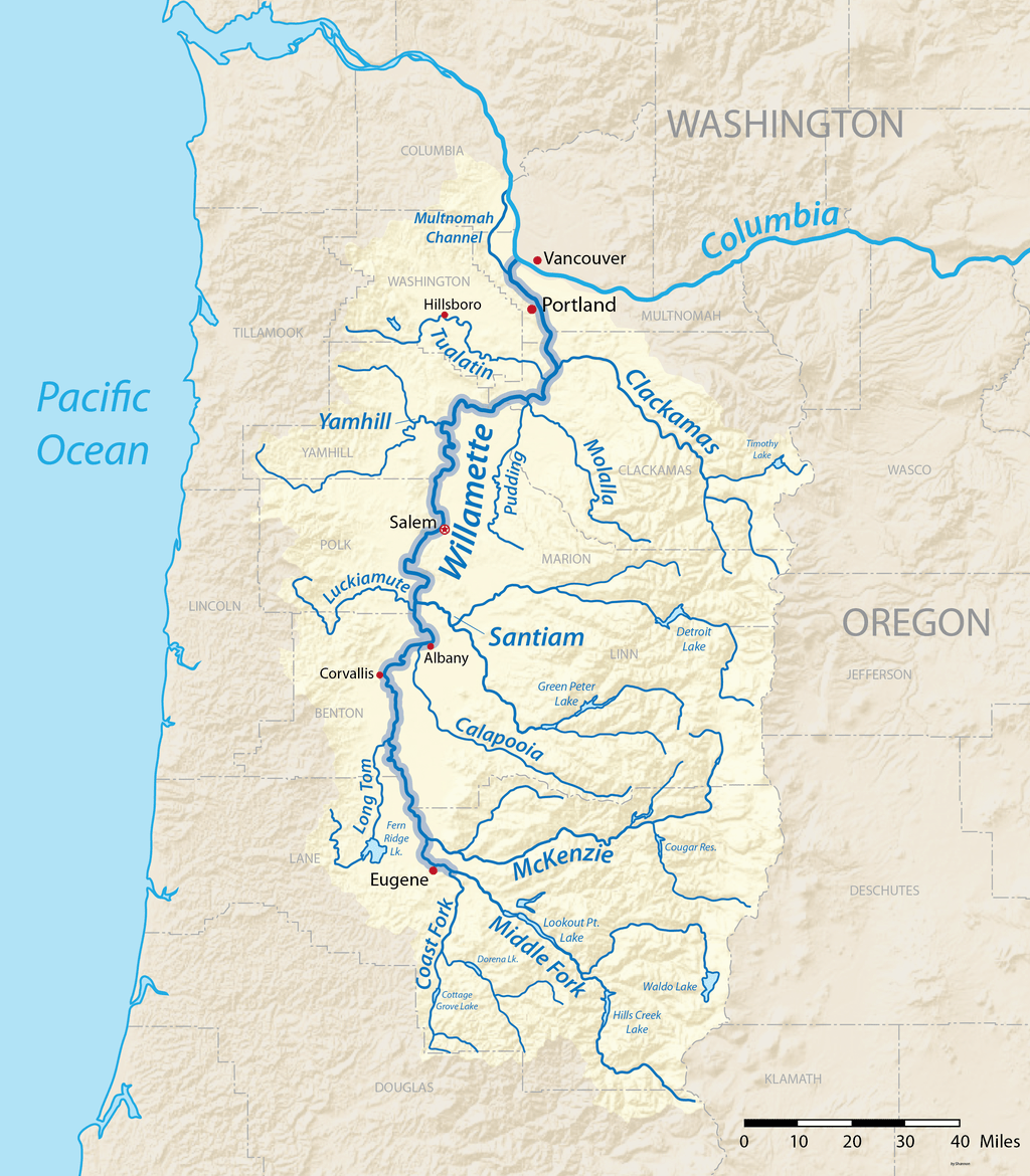 Building people power to restore the Willamette River — and communities