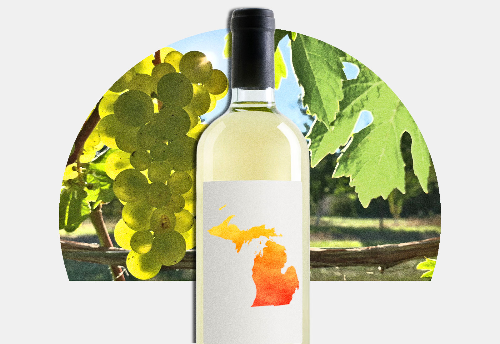 Rising temperatures could make Michigan the next great wine hub Grist