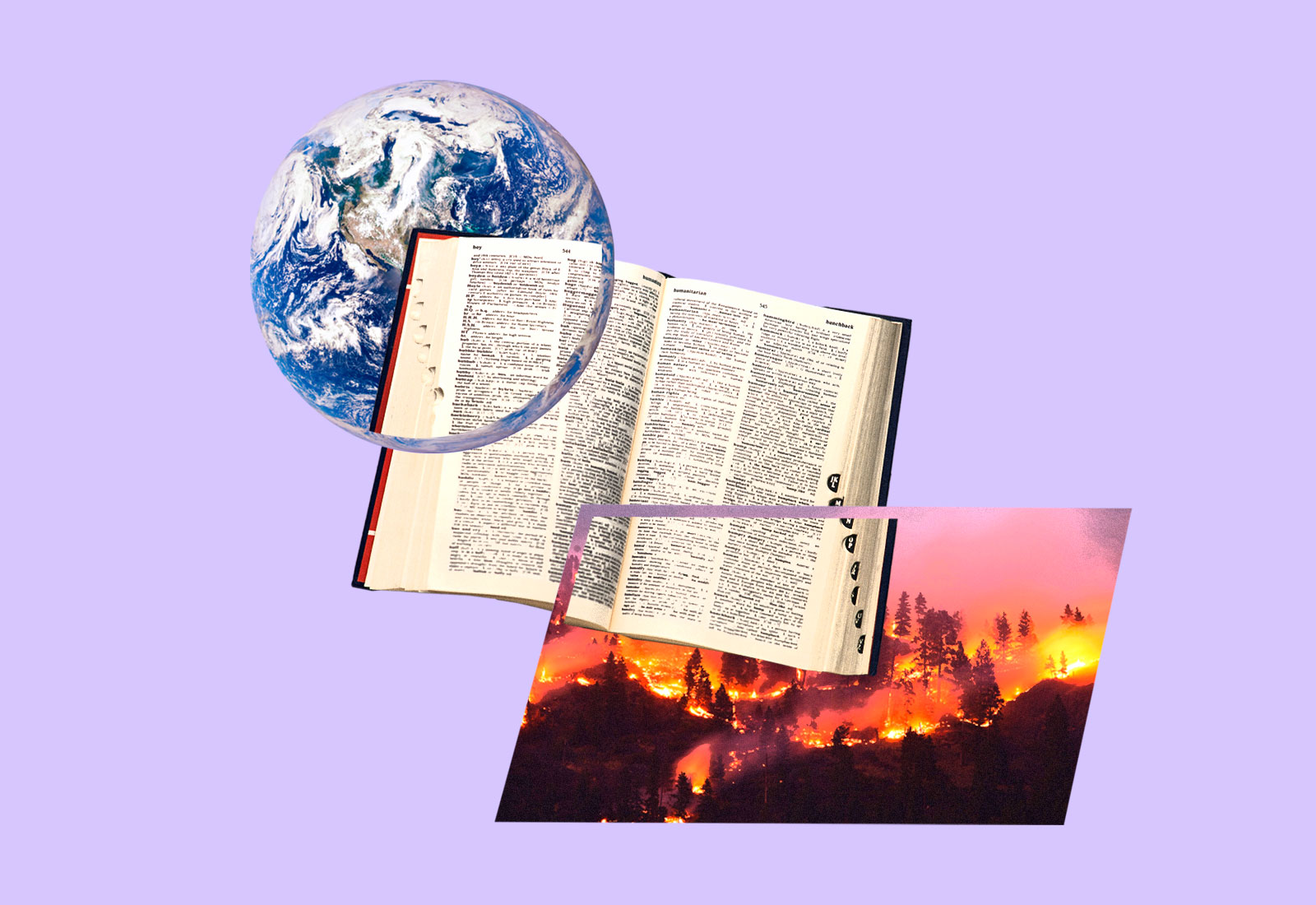 'Climate crisis' has made it into the Oxford English Dictionary Grist