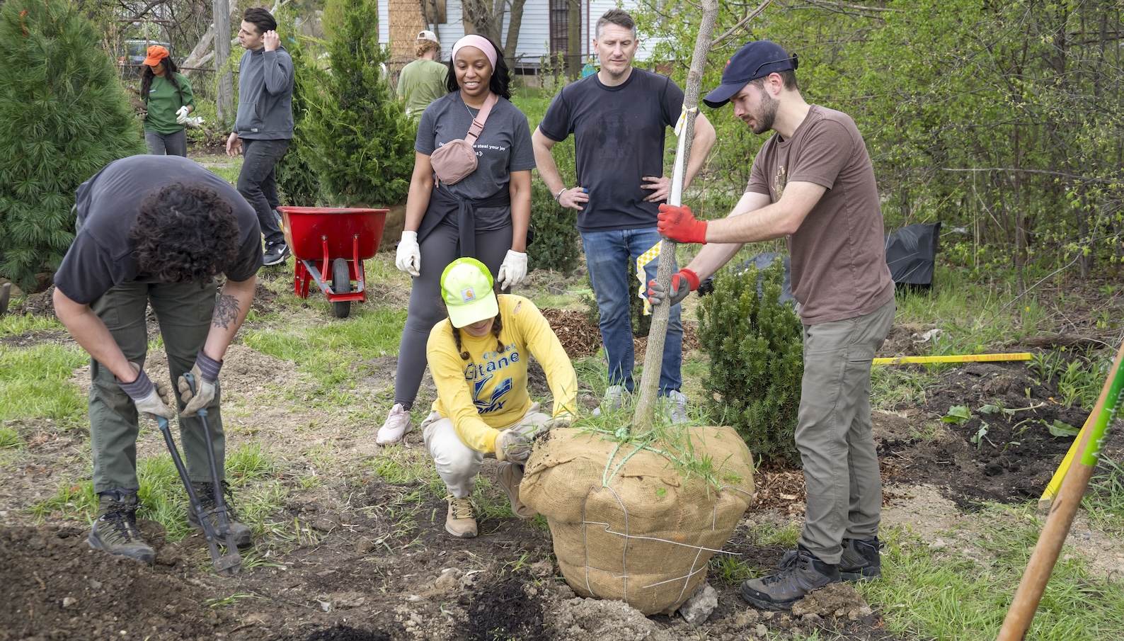 Urban trees aren’t just nice, scientists say — they’re mandatory