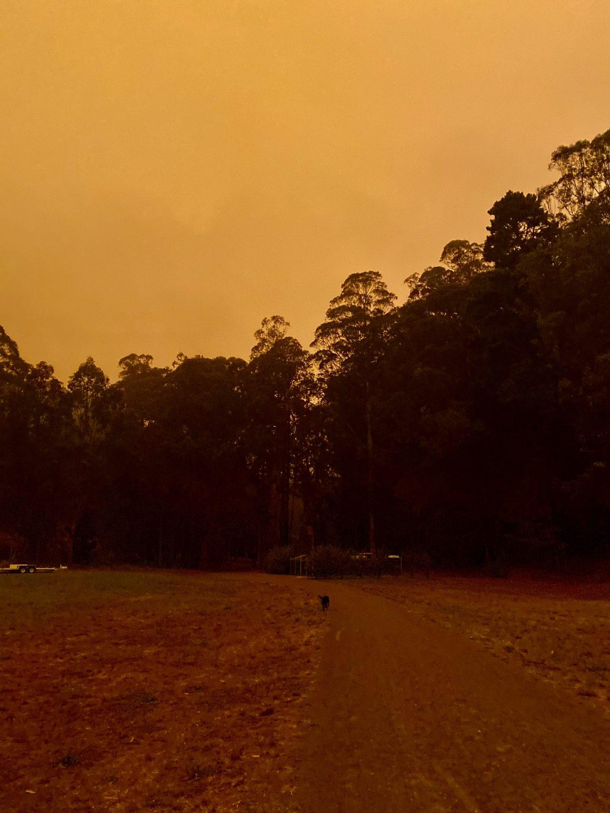 The Bay Area is Blanketed in Darkness From Wildfire Smoke Grit Daily News