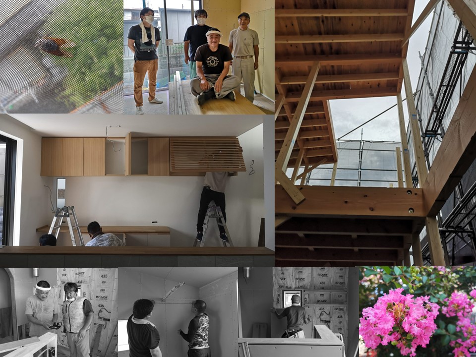 Kirin House gritdesign