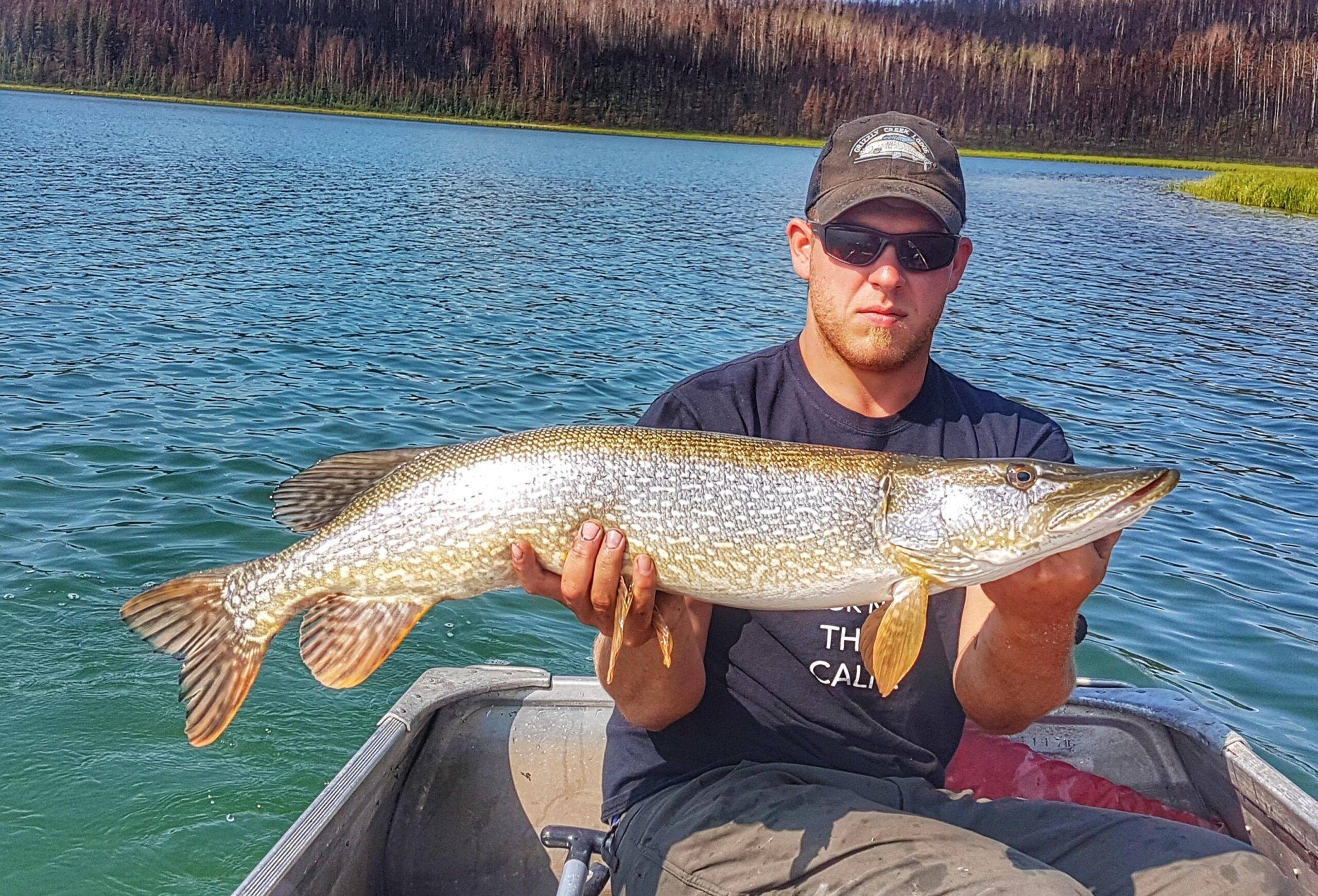 5 Best Lures for Northern Pike Grizzly Creek Lodge