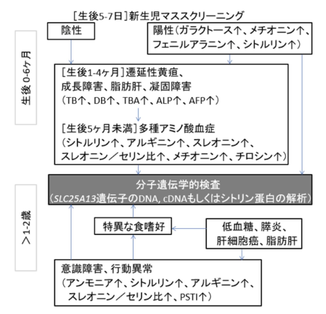 GRJ シトリン欠損症