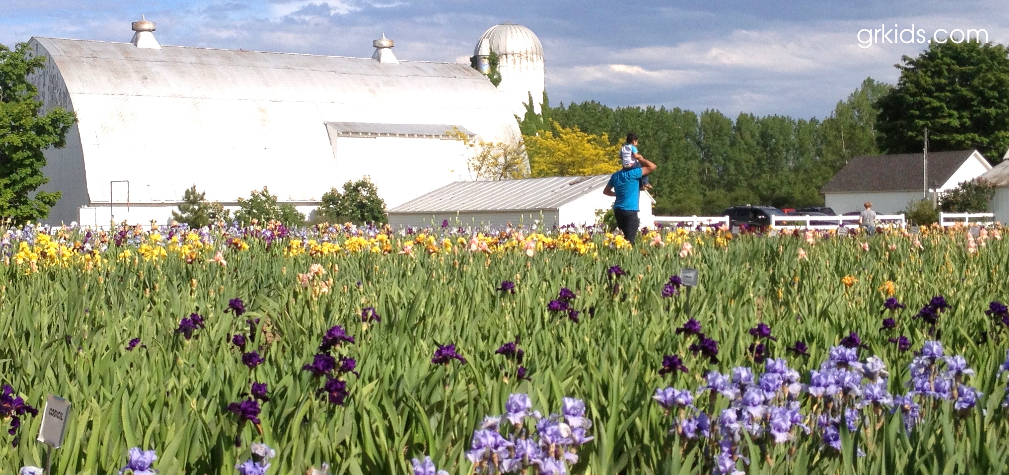 Have You Been to the Traverse City Iris Farm Yet?