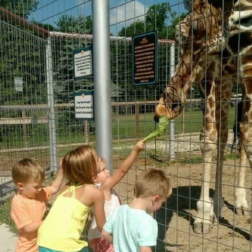Boulder Ridge Wild Animal Park PetsWall