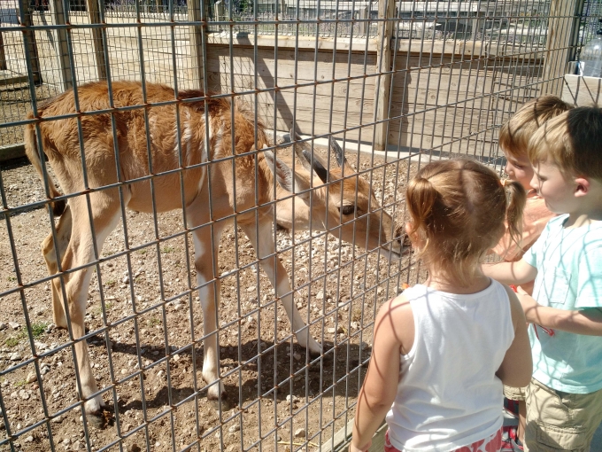 Don't Just Visit the Wild Side EXPERIENCE it at Boulder
