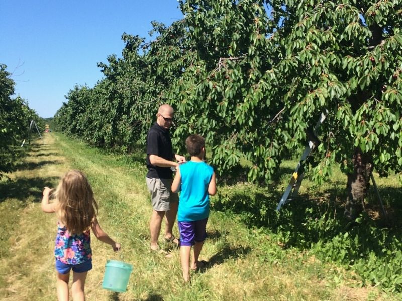 13 Great Cherry Picking Orchards in West Michigan Visit for a Flavorful Adventure