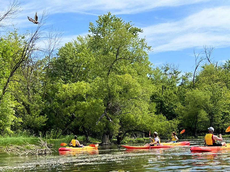 Riverside Park Has the Prettiest Walk in GR (+ an Accessible Kayak