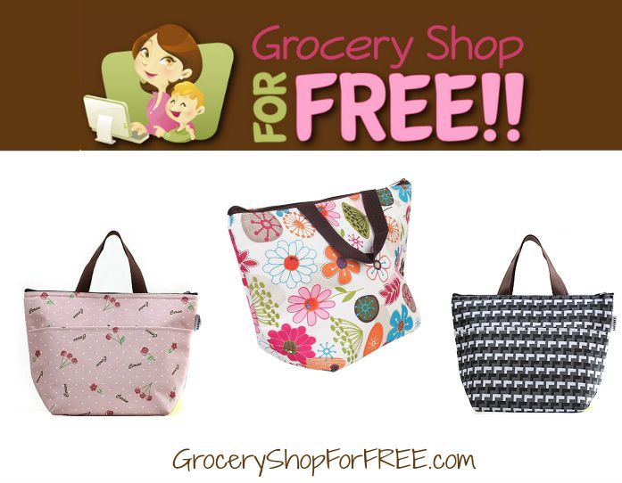 Cute Insulated Totes Just 3.64 PLUS FREE Shipping! GSFF