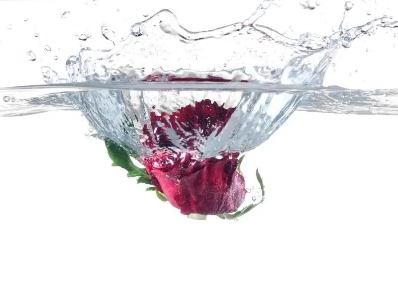Where to Find Rose Water in the Grocery Store? Grocery Store Dive