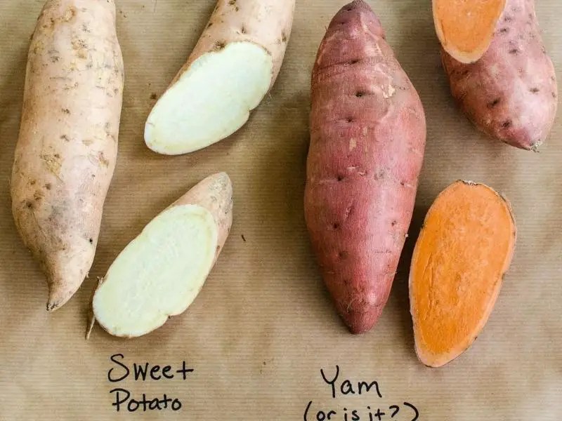 Yam vs Sweet Potato What Is The Difference? Grocery Store Dive