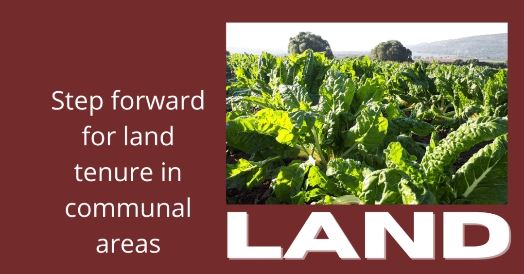 Step toward secure land tenure Grocott's Mail