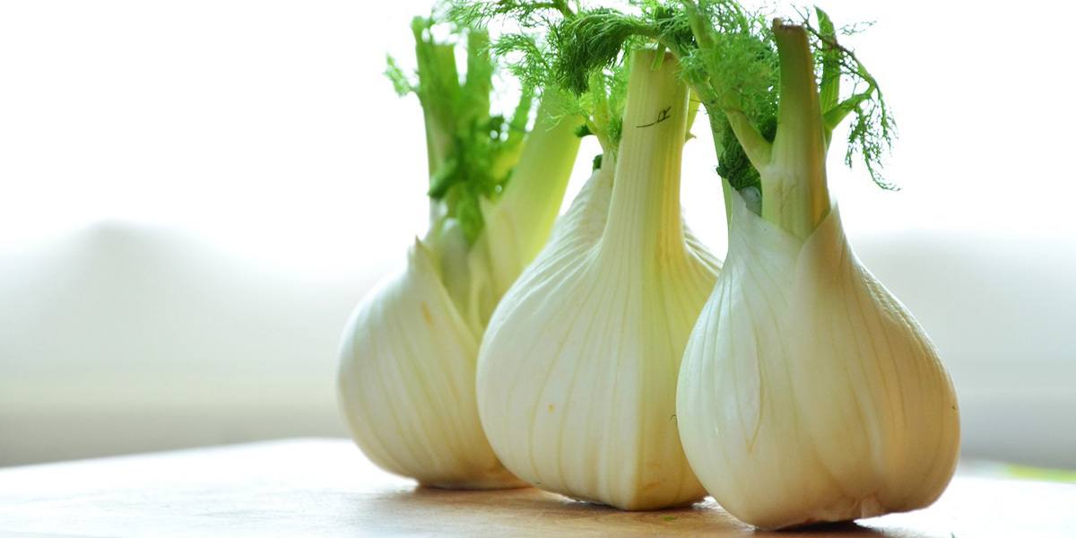 What Are Microgreens And What Are The Health Benefits? GroCycle