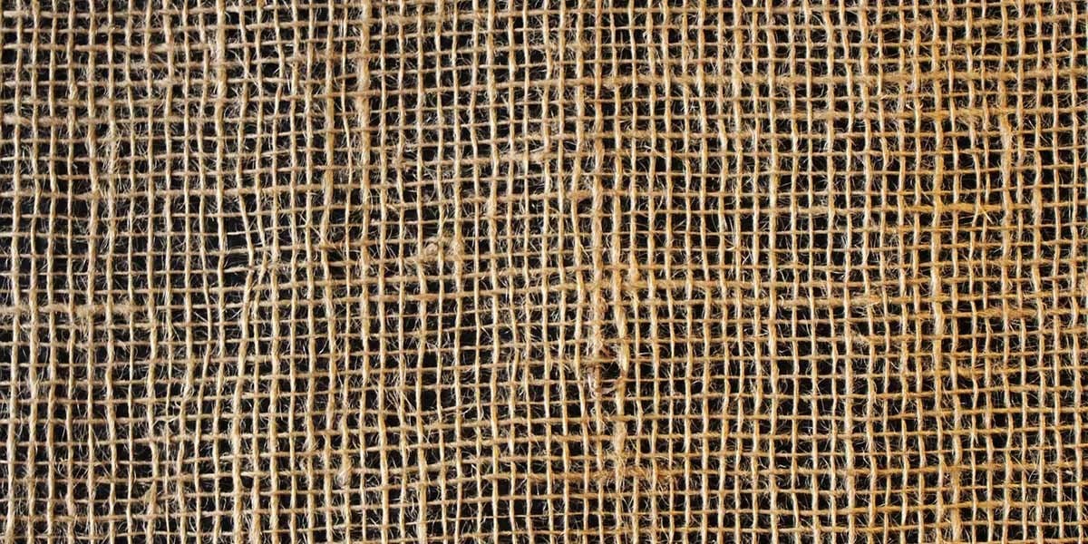 Best Growing Medium For Microgreens GroCycle