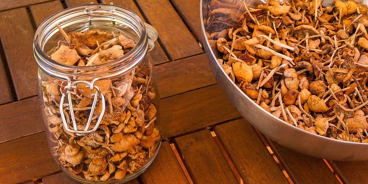 How To Cook Mushrooms The Right Way! GroCycle