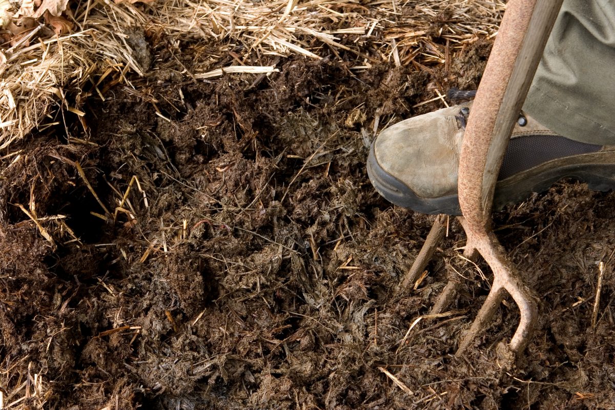The Beginner’s Guide to Deep Mulch Gardening GroCycle