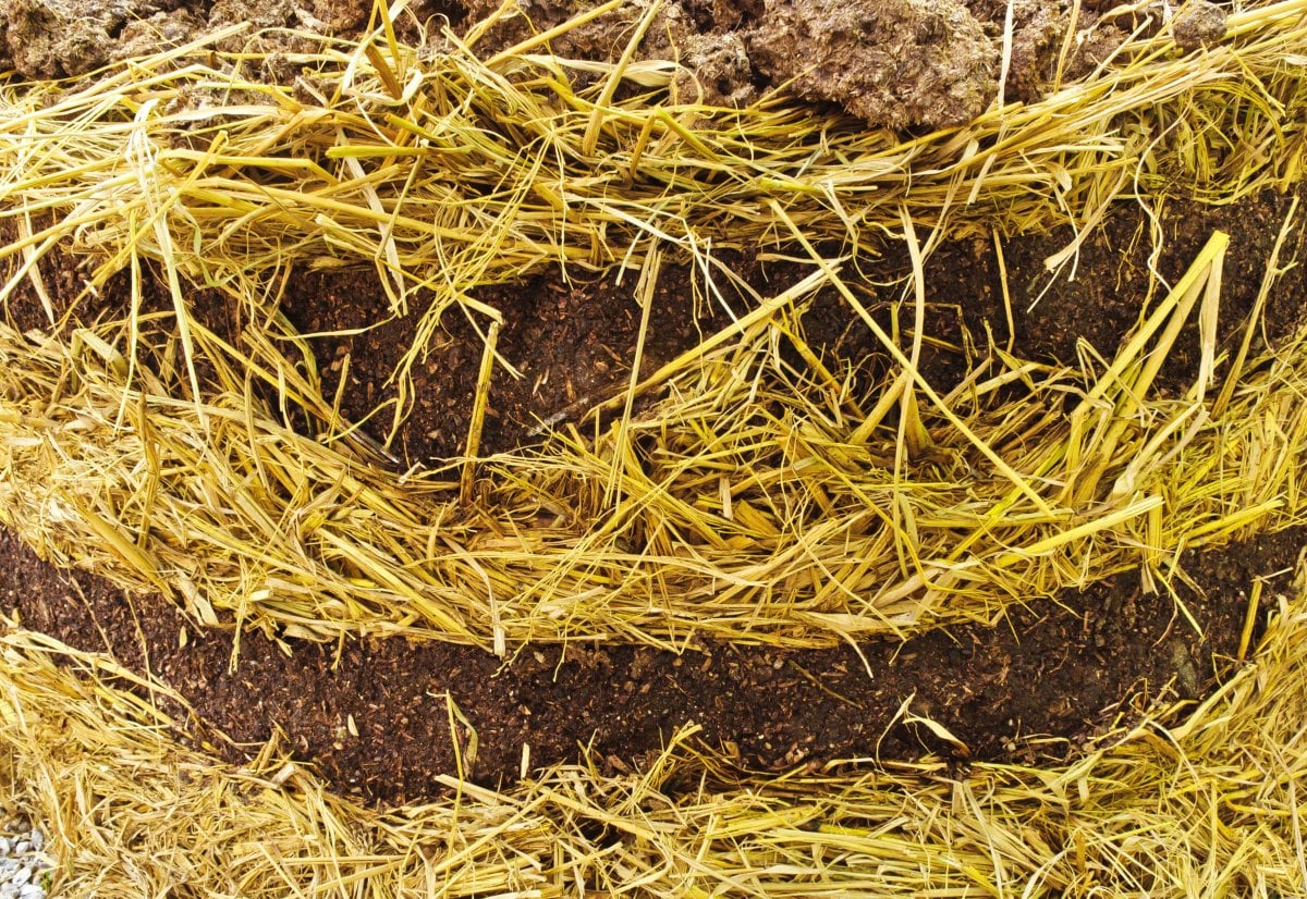 The Beginner’s Guide to Deep Mulch Gardening GroCycle