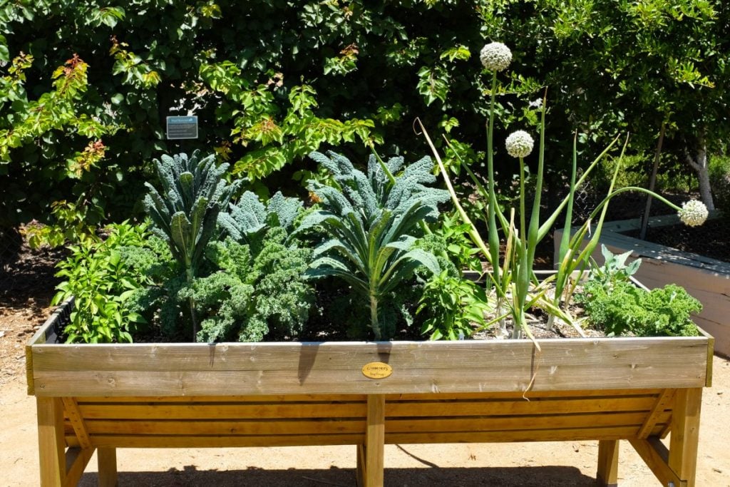 17 Backyard Homestead Ideas for Living Independently GroCycle