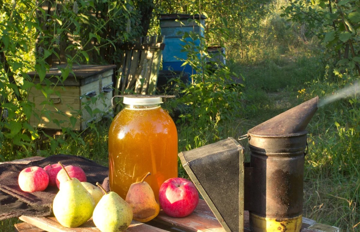 Beekeeping for Profit A Guide to Making Money with Bees GroCycle