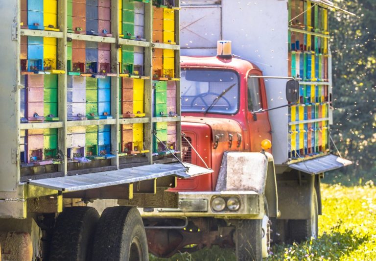 Beekeeping for Profit A Guide to Making Money with Bees GroCycle