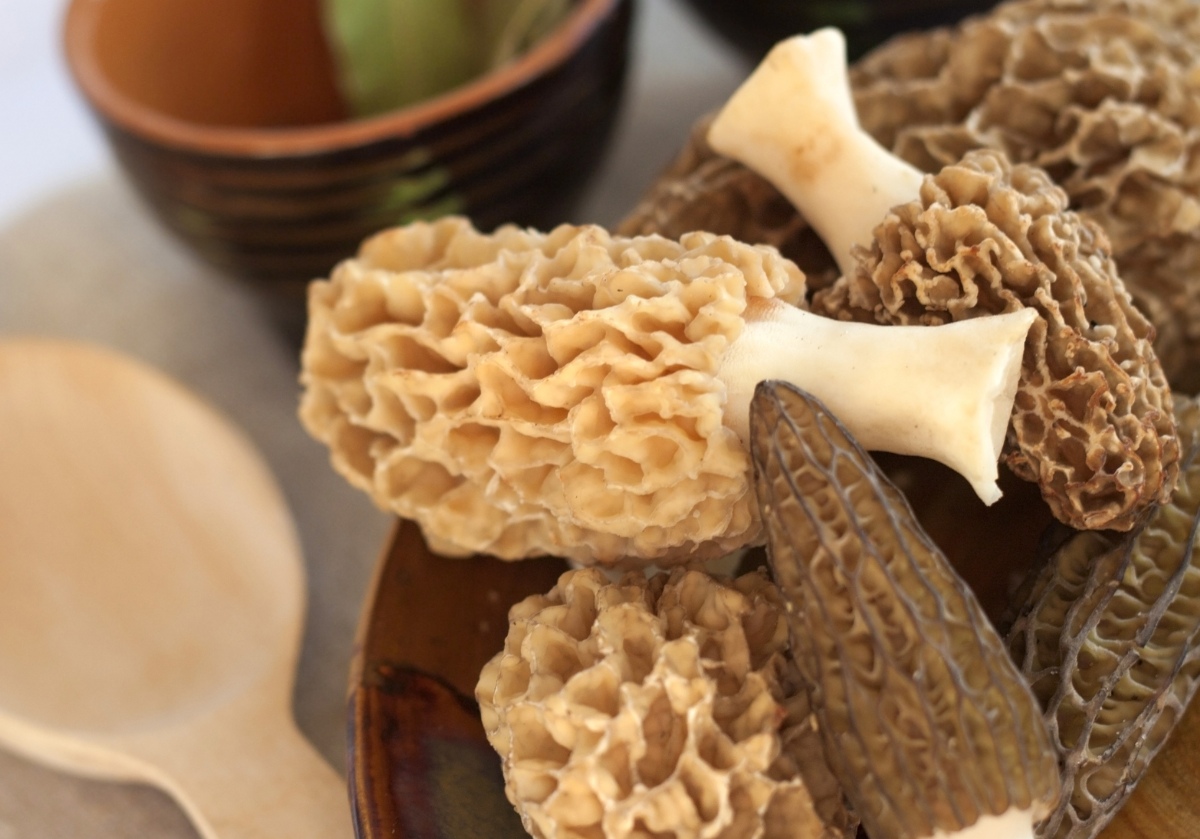 Can You Eat Mushroom Stems? How to Cook With Them GroCycle
