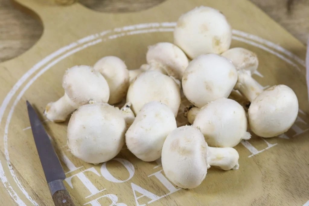 Can Babies Eat Mushrooms? All Questions Answered GroCycle
