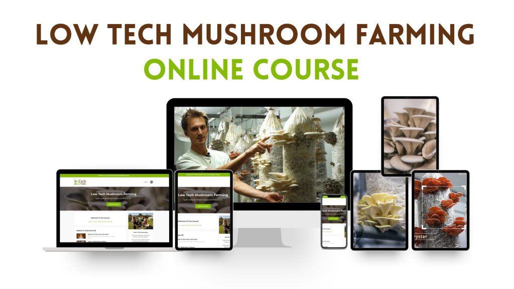 p_Video_How Much Does A Low Tech Mushroom Farm Cost GroCycle Courses