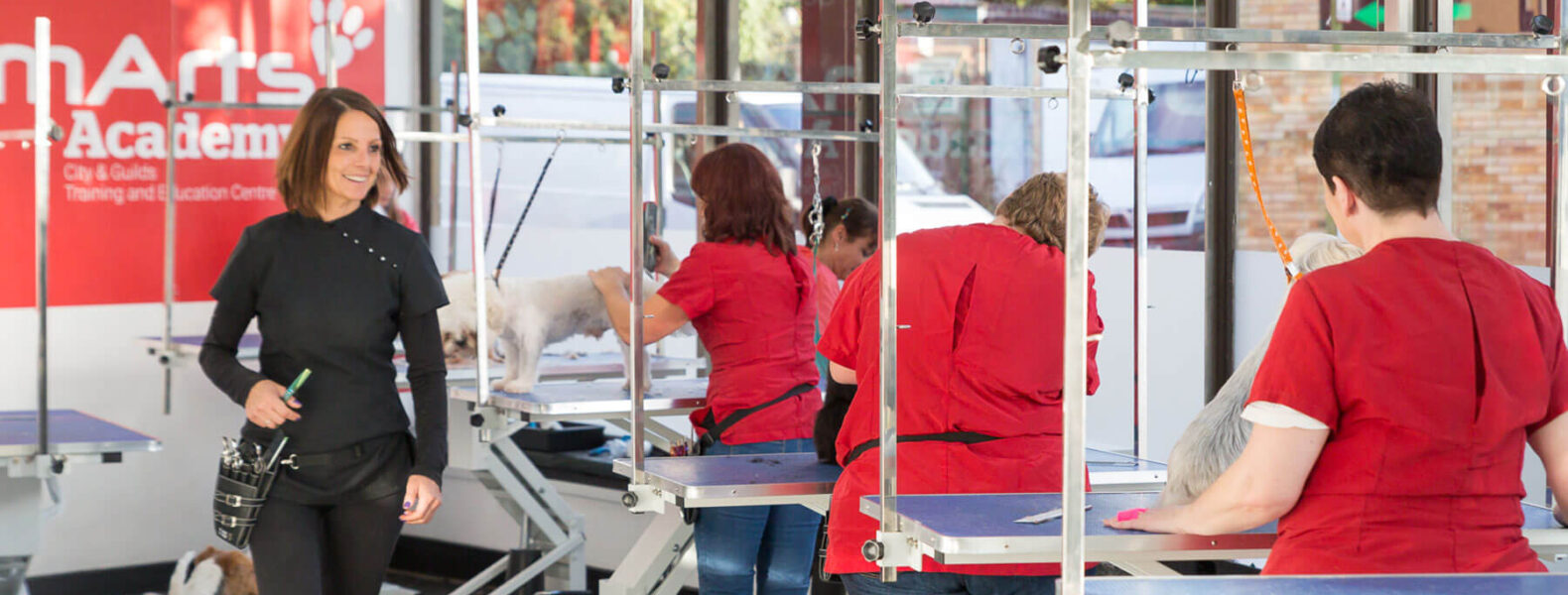 Dog Grooming Teacher and Assessor Groomarts