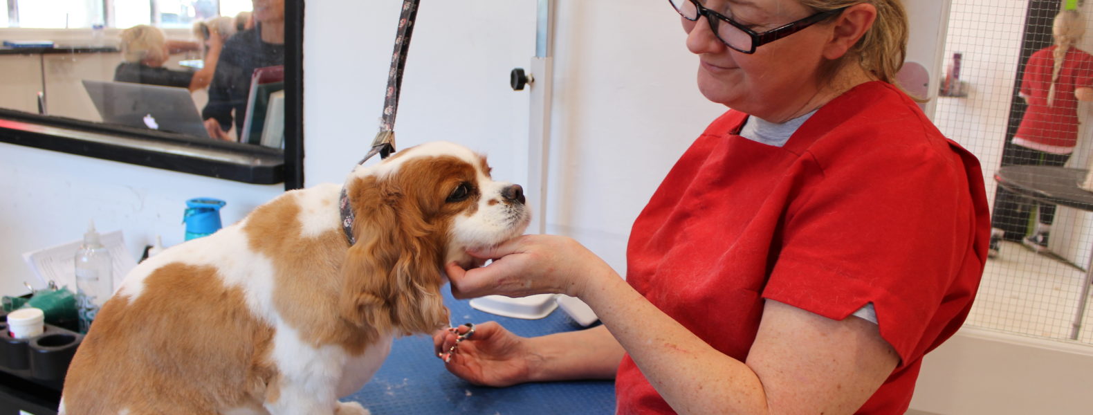 Groomarts Academy Groomarts