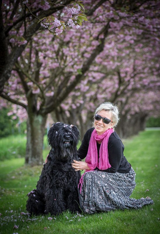 HOME Top Dog Groomers and Photography