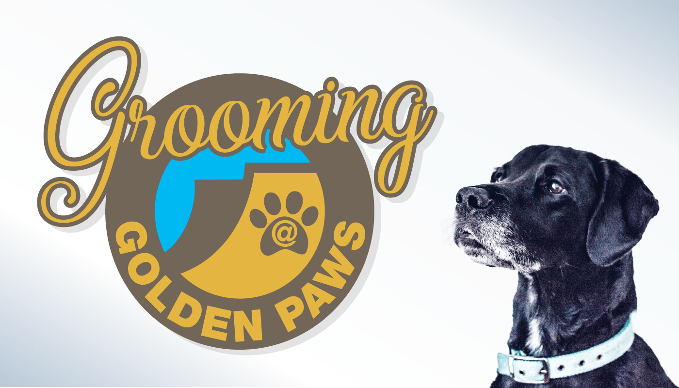 Elliott Flynn Grooming Golden Paws