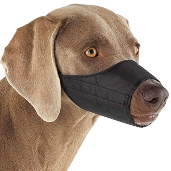 Dog Grooming Muzzle Groom Tech