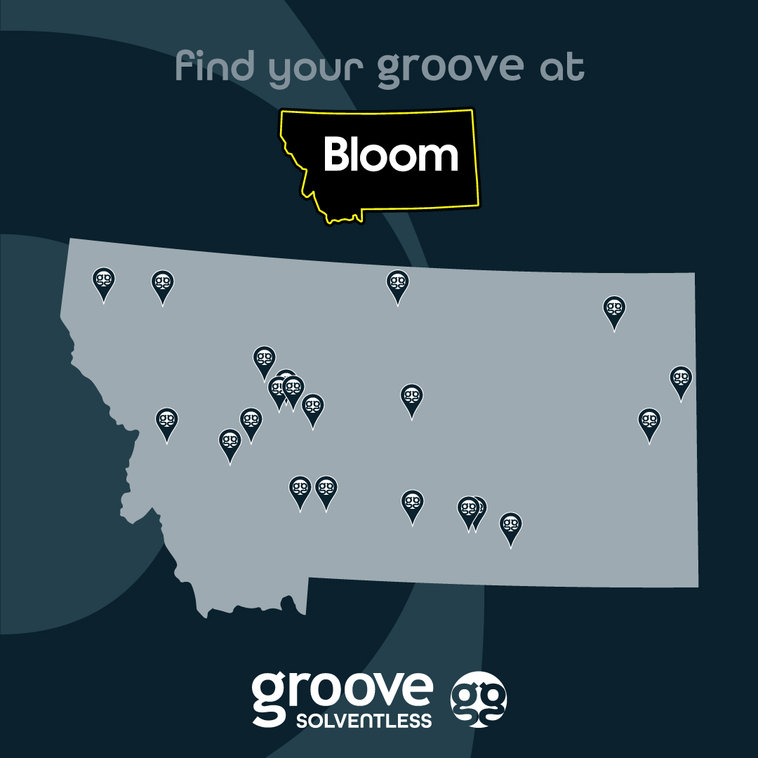 Find Your Groove at Bloom Groove Solventless