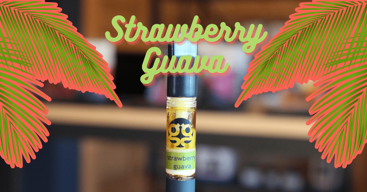 Buy Strawberry Guava in Montana Groove Solventless Dispensary