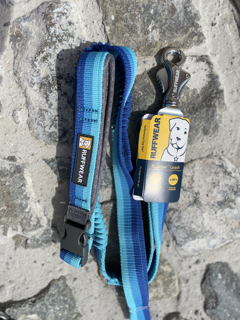 Roamer™ Leash Groovy Dogs