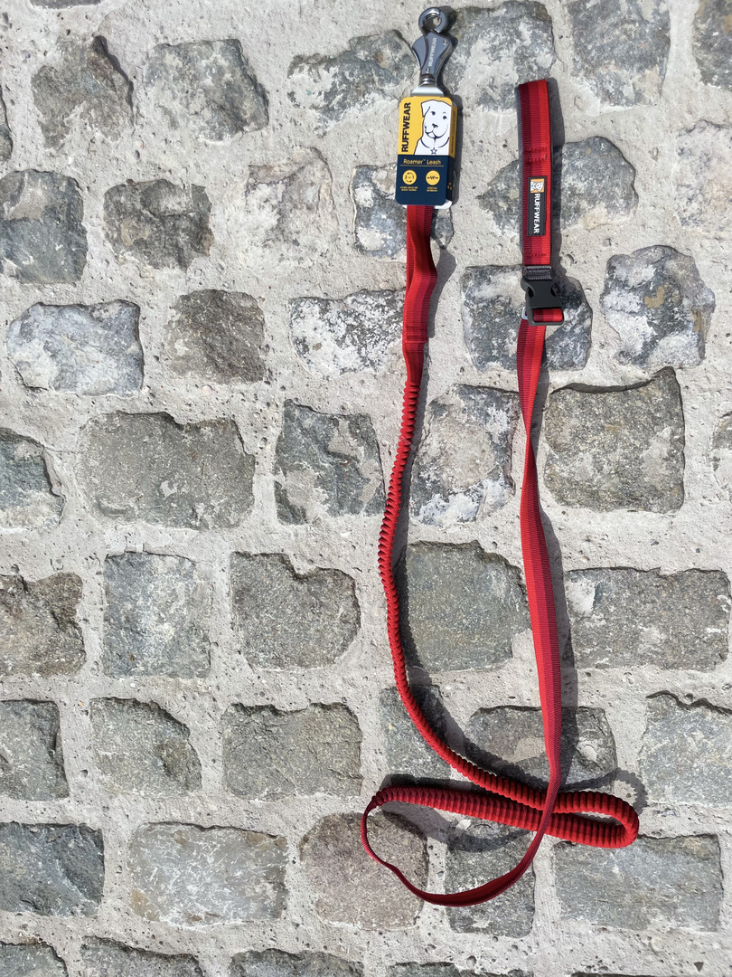 Roamer™ Leash Groovy Dogs