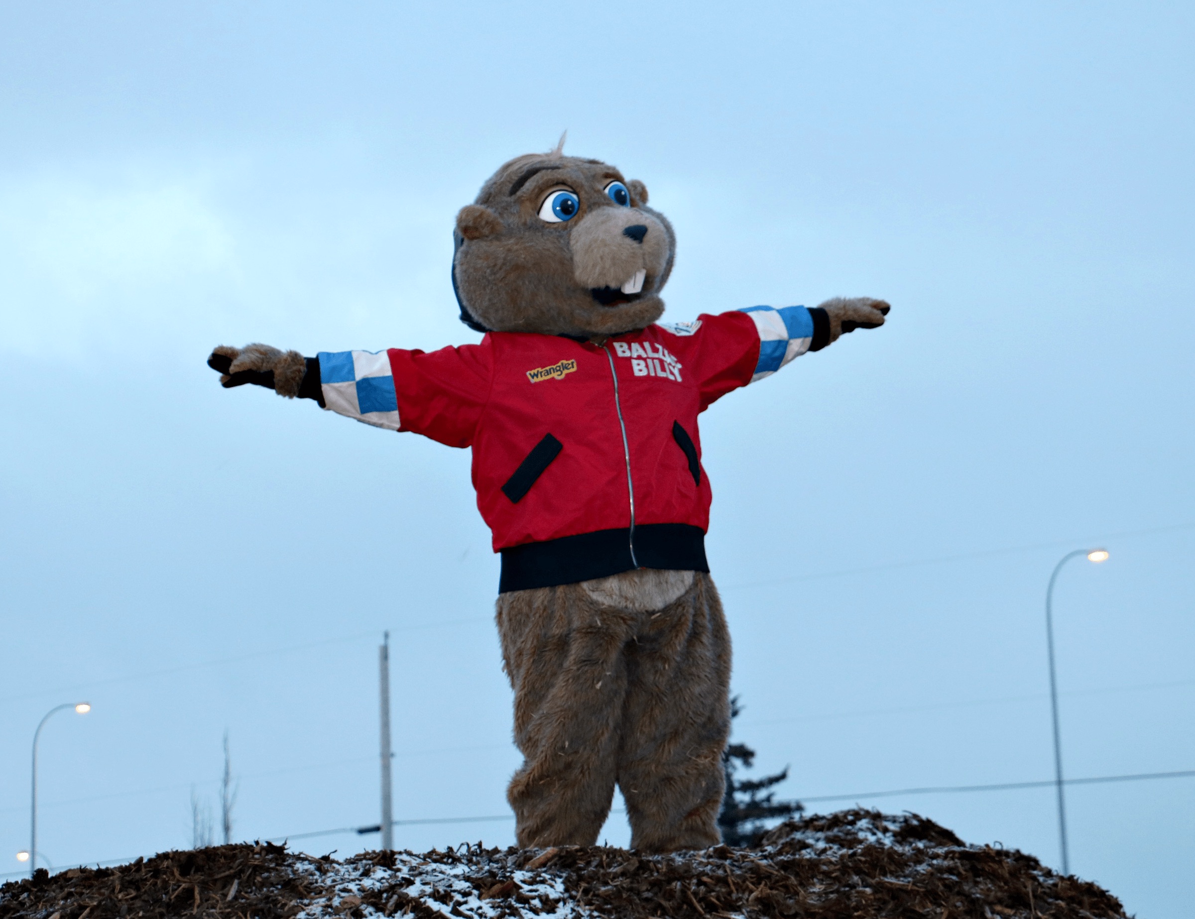 Balzac Billy from Balzac, Alberta — GROUNDHOG DAY