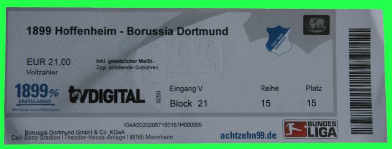 TSG 1899 Hoffenheim vs. Borussia Dortmund 41