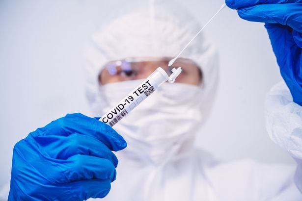 More stories for new covid variant in south africa » Another new COVID variant may be the most dangerous yet: Report