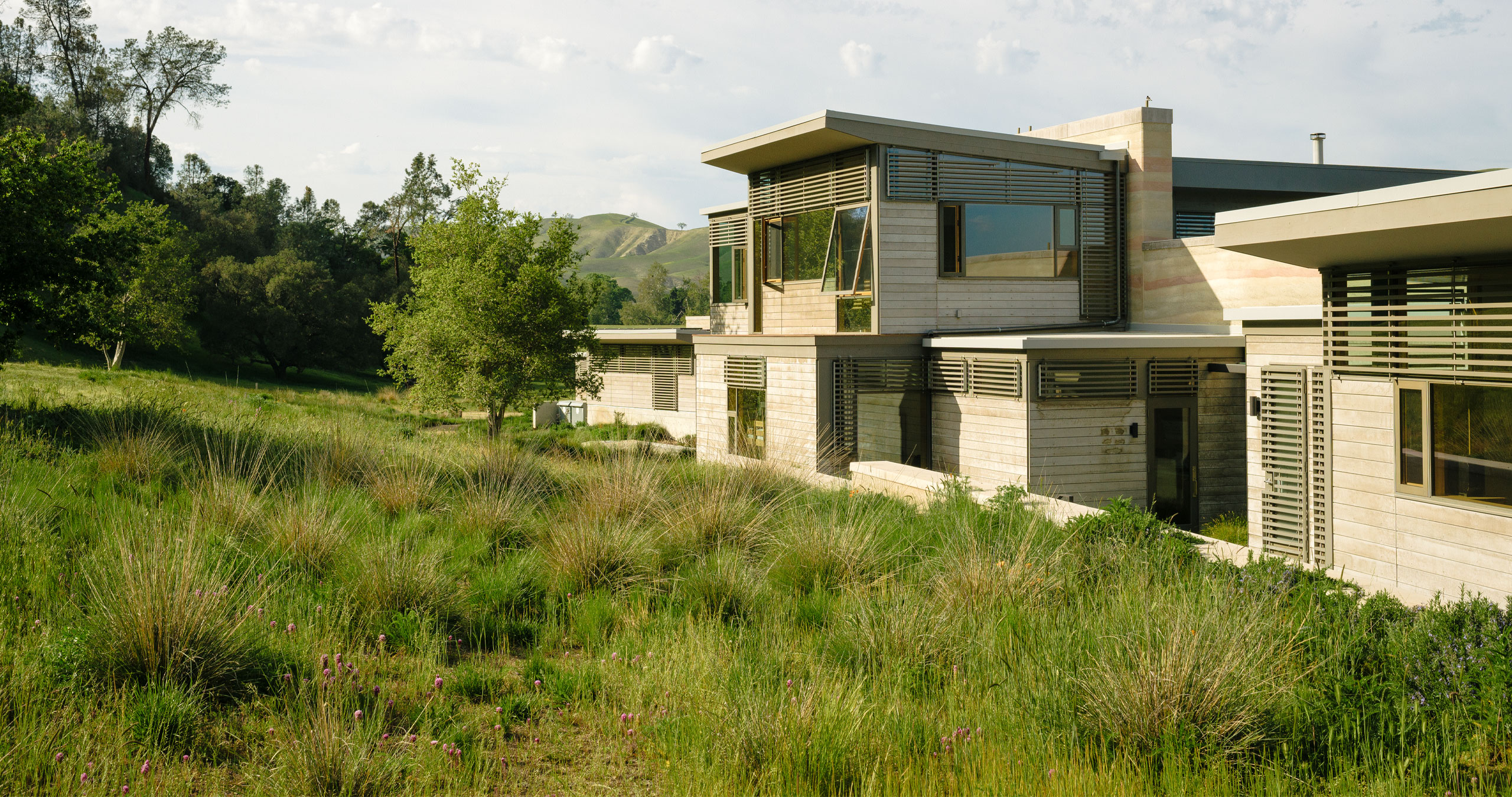 SALAMANDER HOUSE Ground Studio